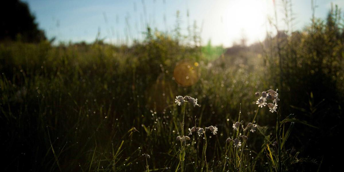 10 Things to Check Before Every Camping Trip — Dad's Camper Outlet Blog